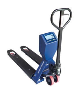Balanza Mettler Toledo BTA 231